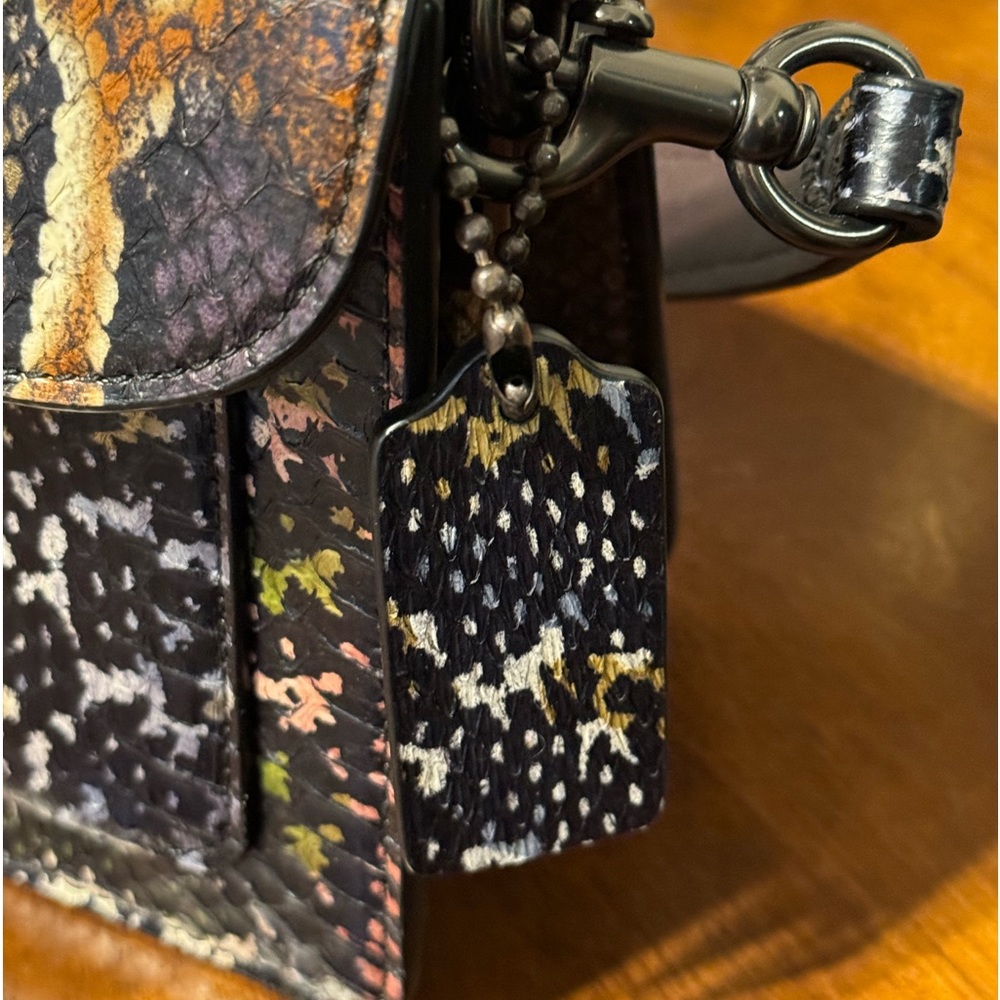 Authentic Limited Edition Custom Coach, Real Pyth… - image 8